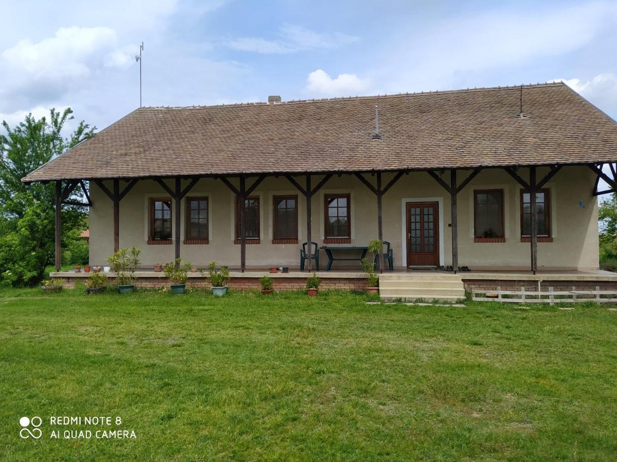 Napkelte Vendeghaz Lägenhet Szeged Exteriör bild
